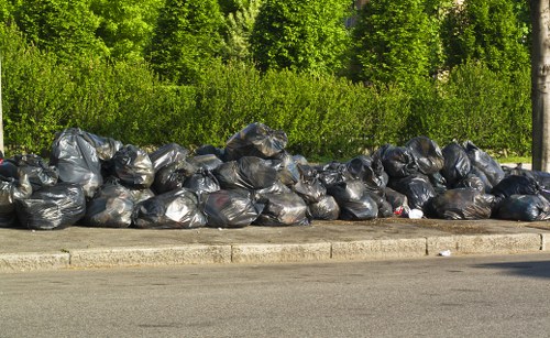 Professional waste removal team at work